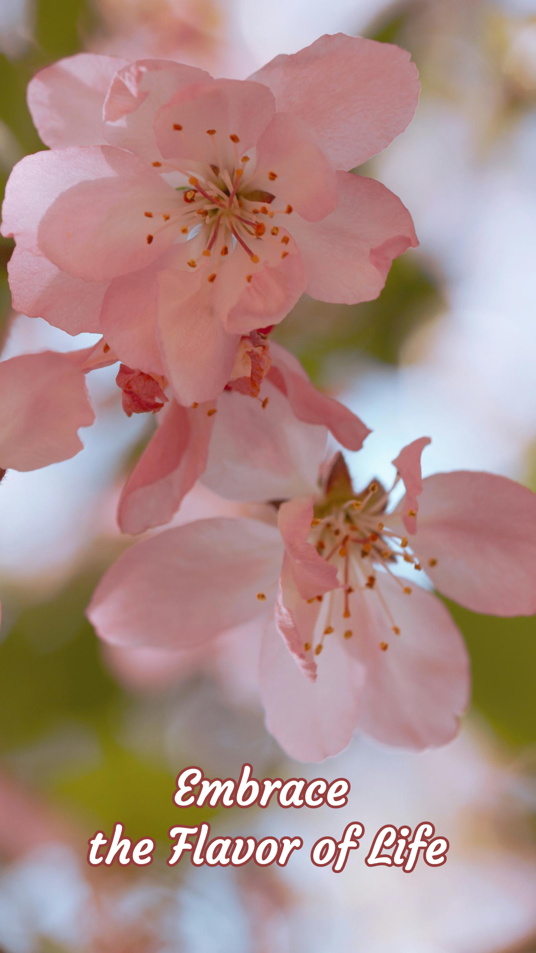 Wallpaper creative poster flower