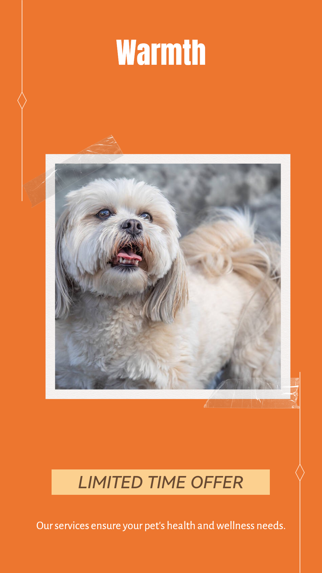 Pet industry Sales Promotion