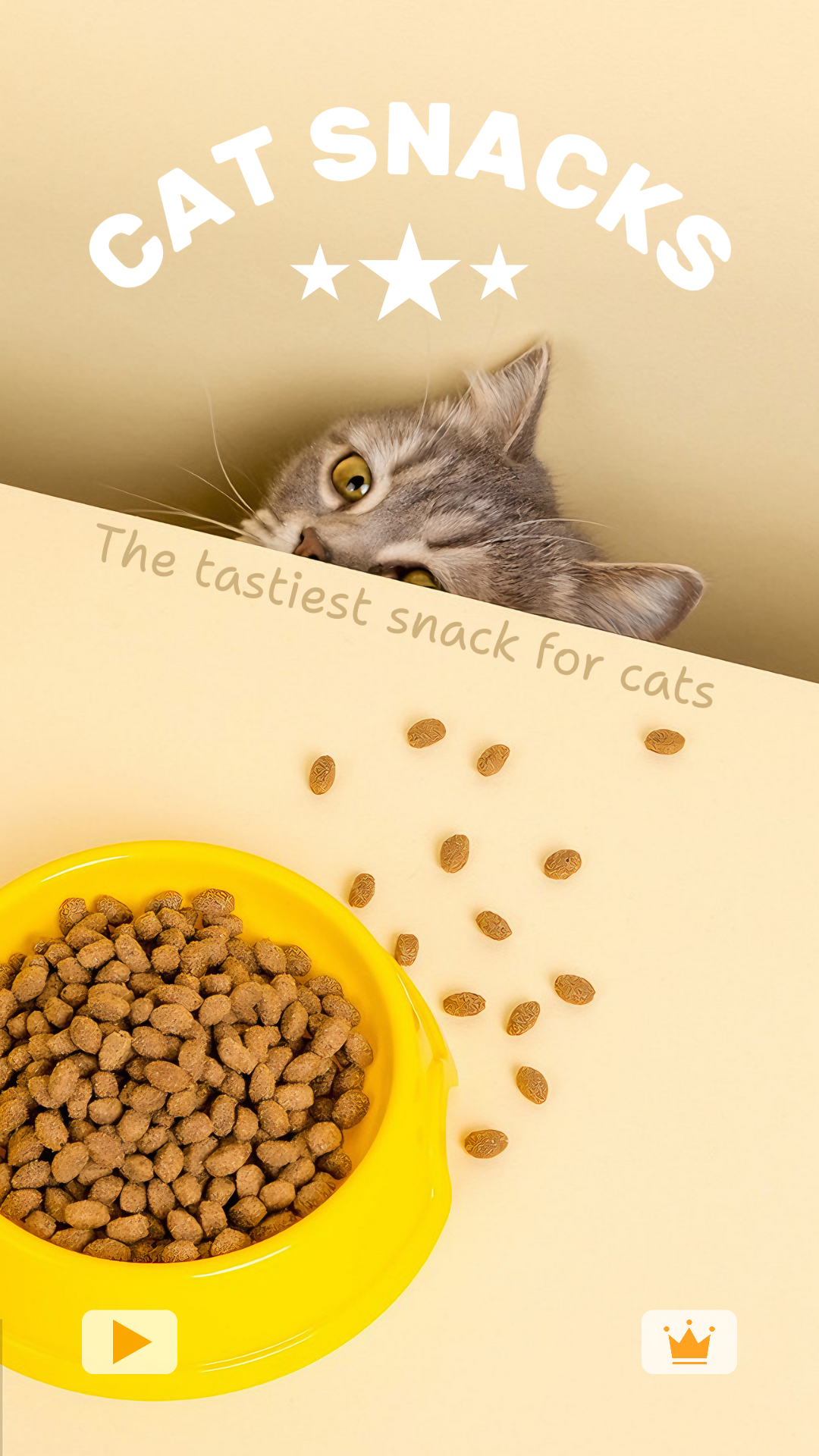 Tiktok miniatura animais de estimação lanches de gato