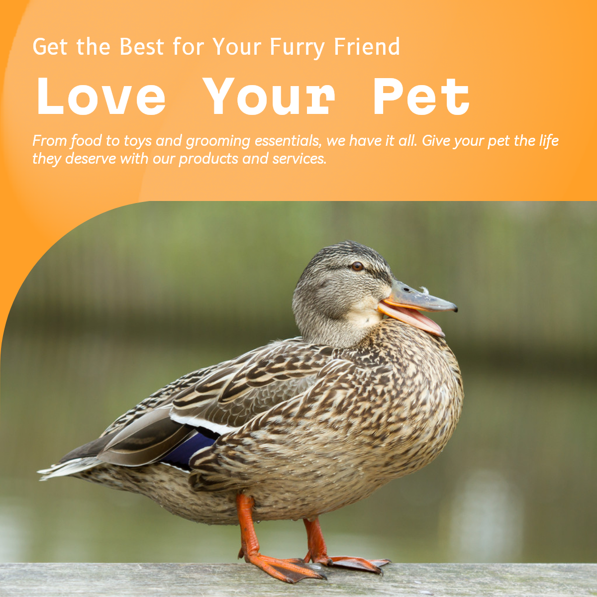 Industria de mascotas General