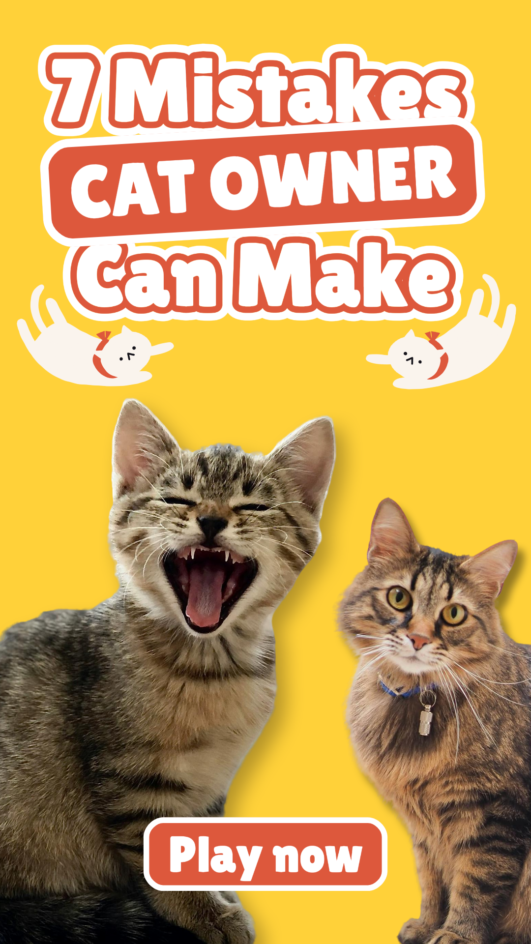 Tiktok 썸네일 펫 7 실수 고양이 주인이 노란색을 귀엽게 만들 수 있습니다