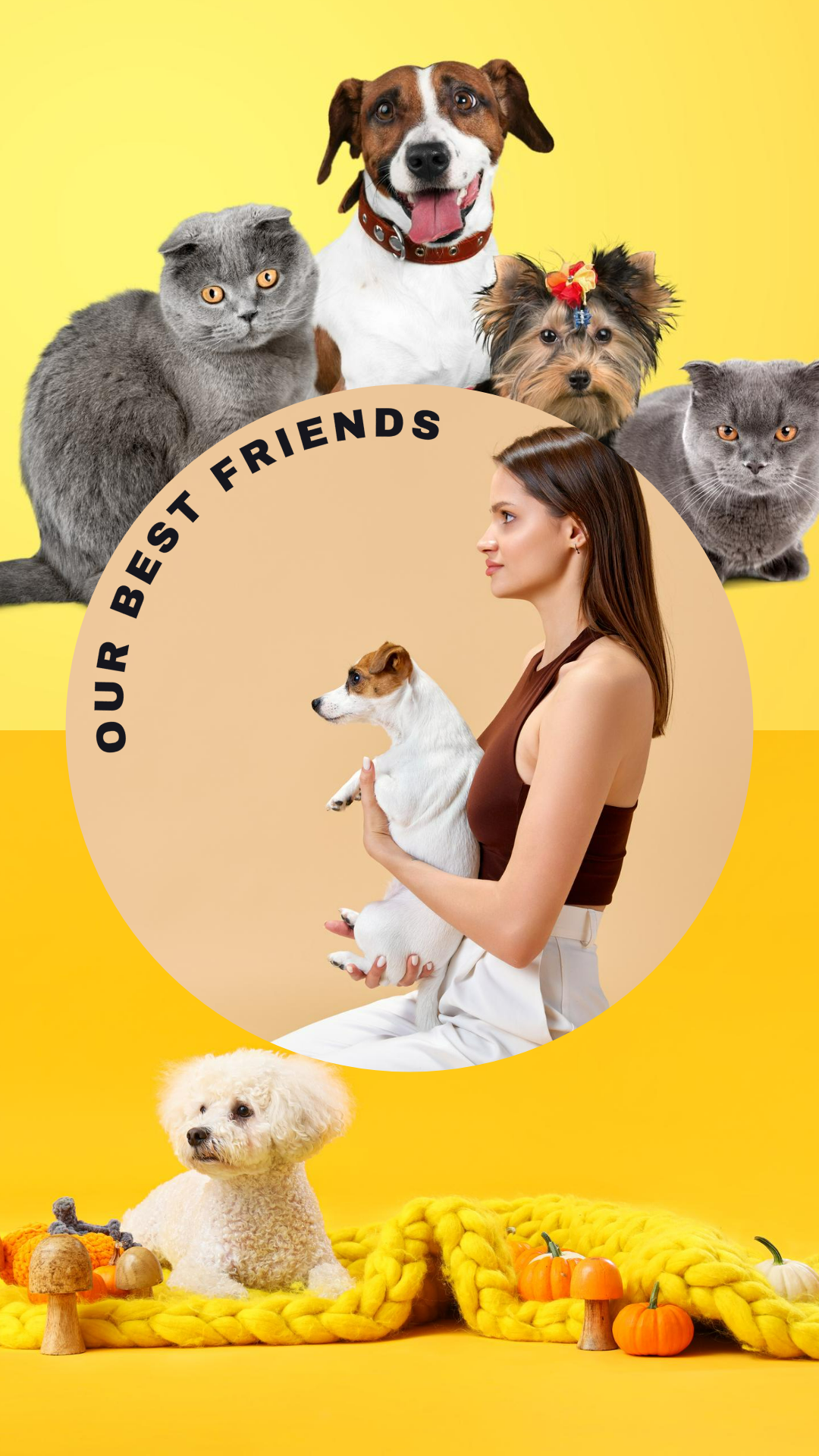 Animais de estimação em miniatura do Tiktok vlog diário nossos melhores amigos