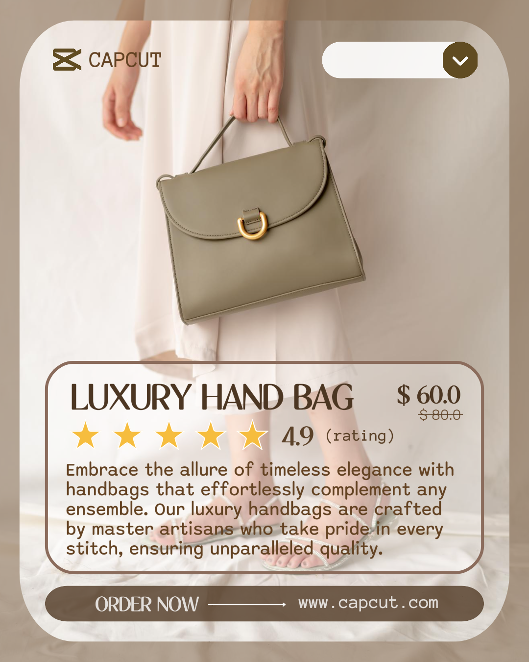 Moda Bolsa De Mão Exibição Do Produto Instagram Portrai