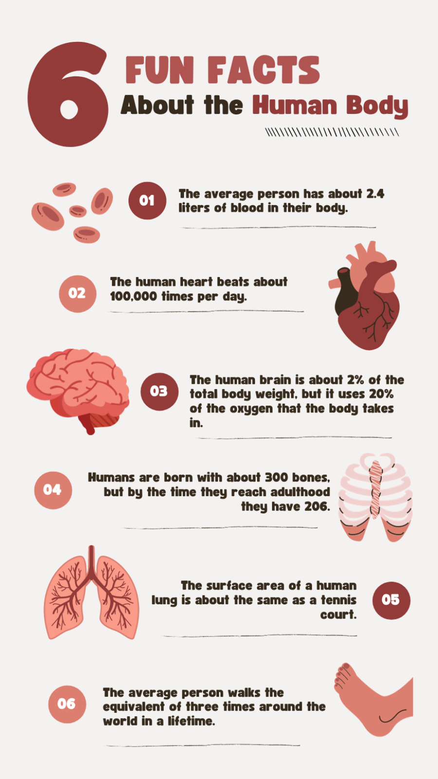 Infografías de no marketing Cuerpo humano