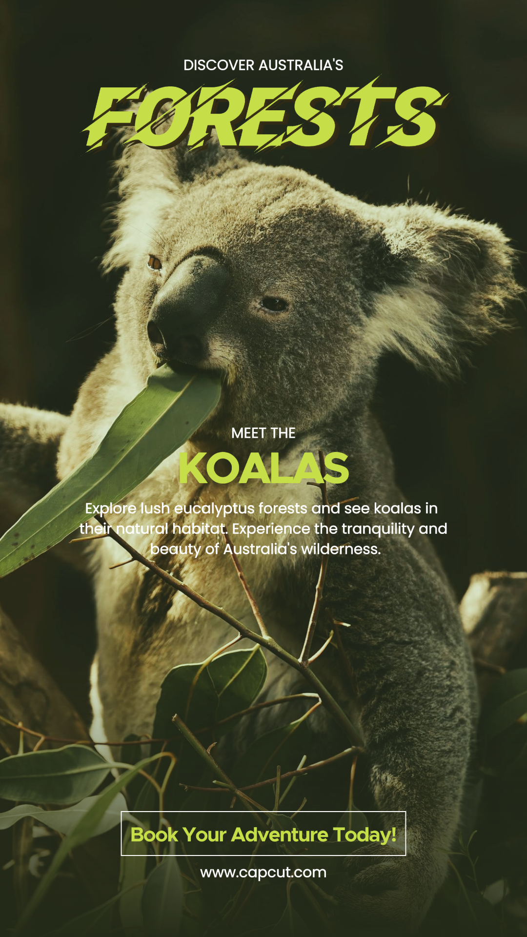 Cartel de marketing de viajes Bosques de Australia