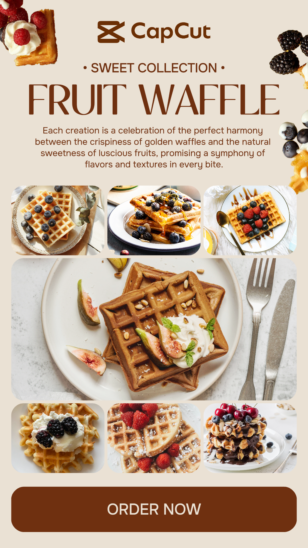 7 Multi-Product Image Food Product Display