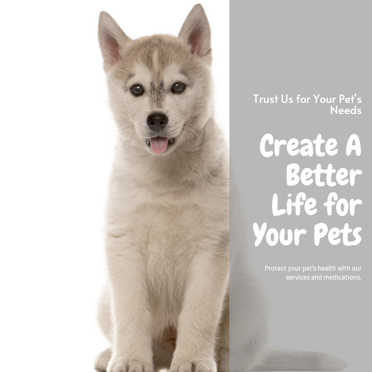 Cartões sociais para animais de estimação