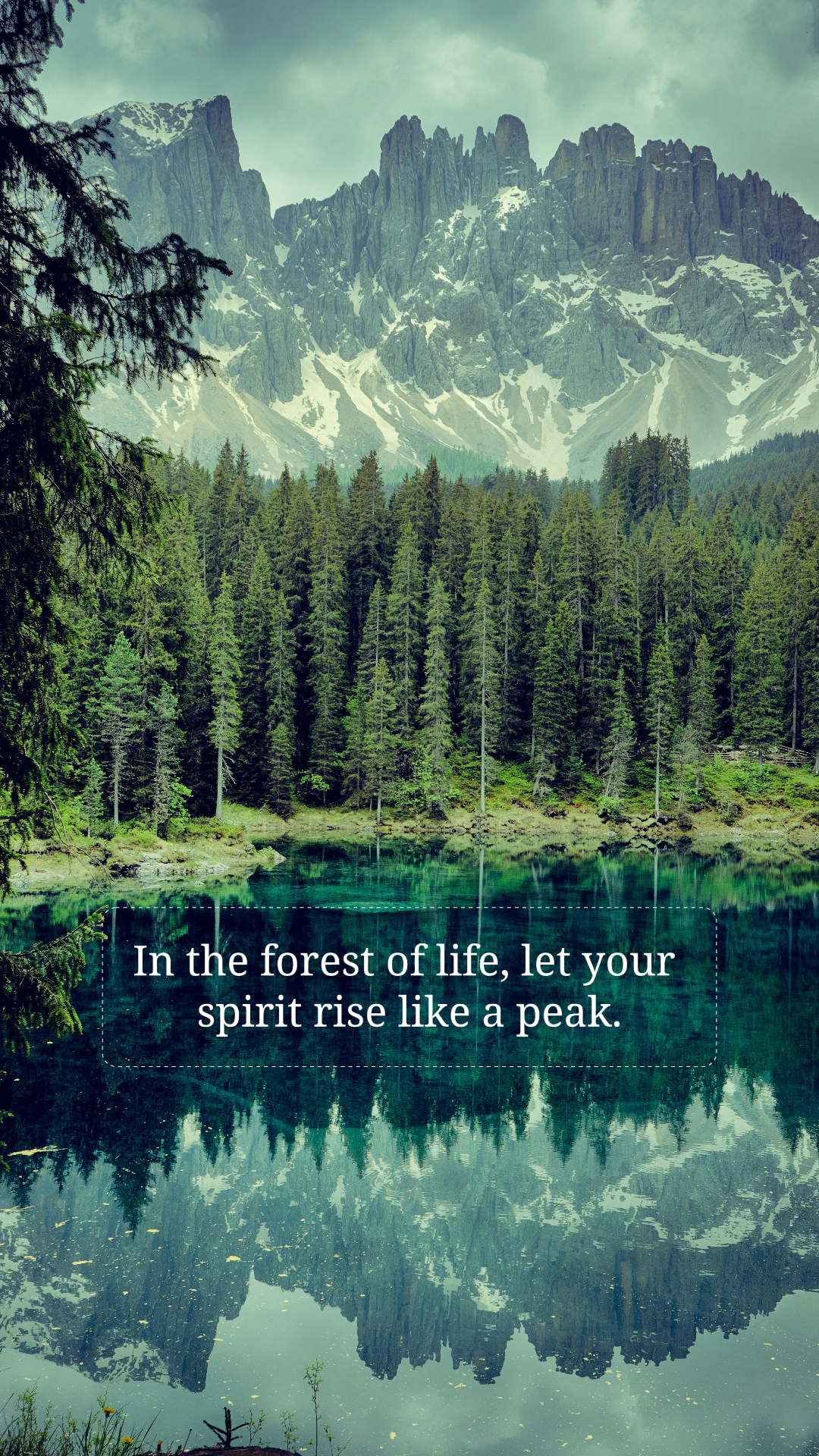 Papier peint Affiche créative Montagne et arbres avec citation