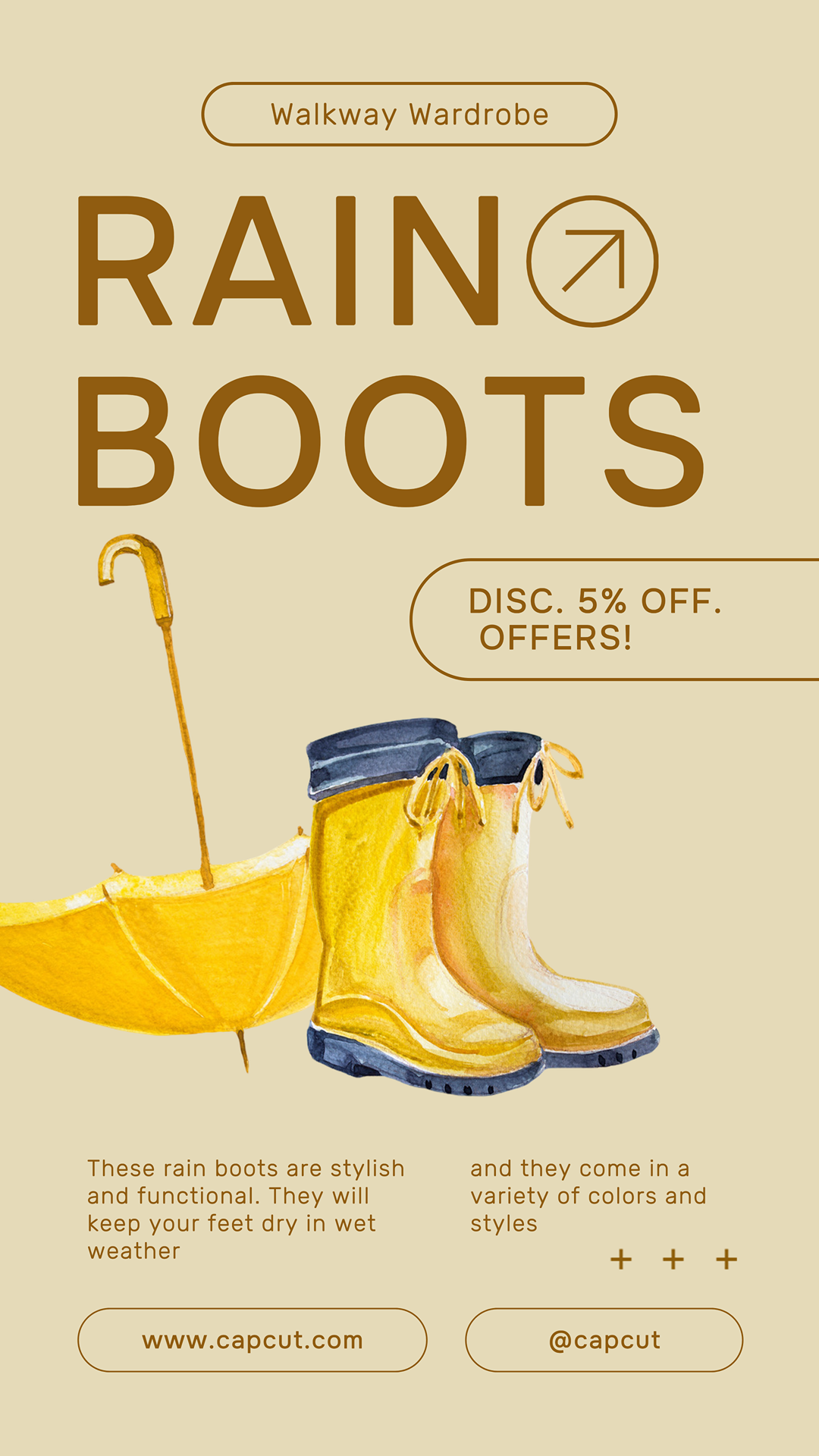 Shoes Marketing Poster Instagram Story