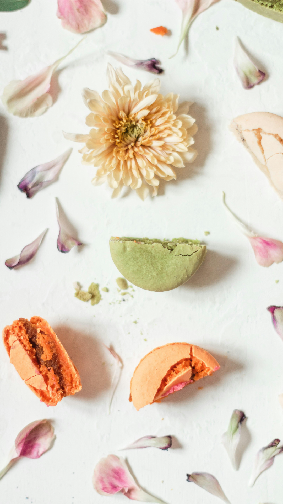 Fondo de pantalla cartel creativo flor