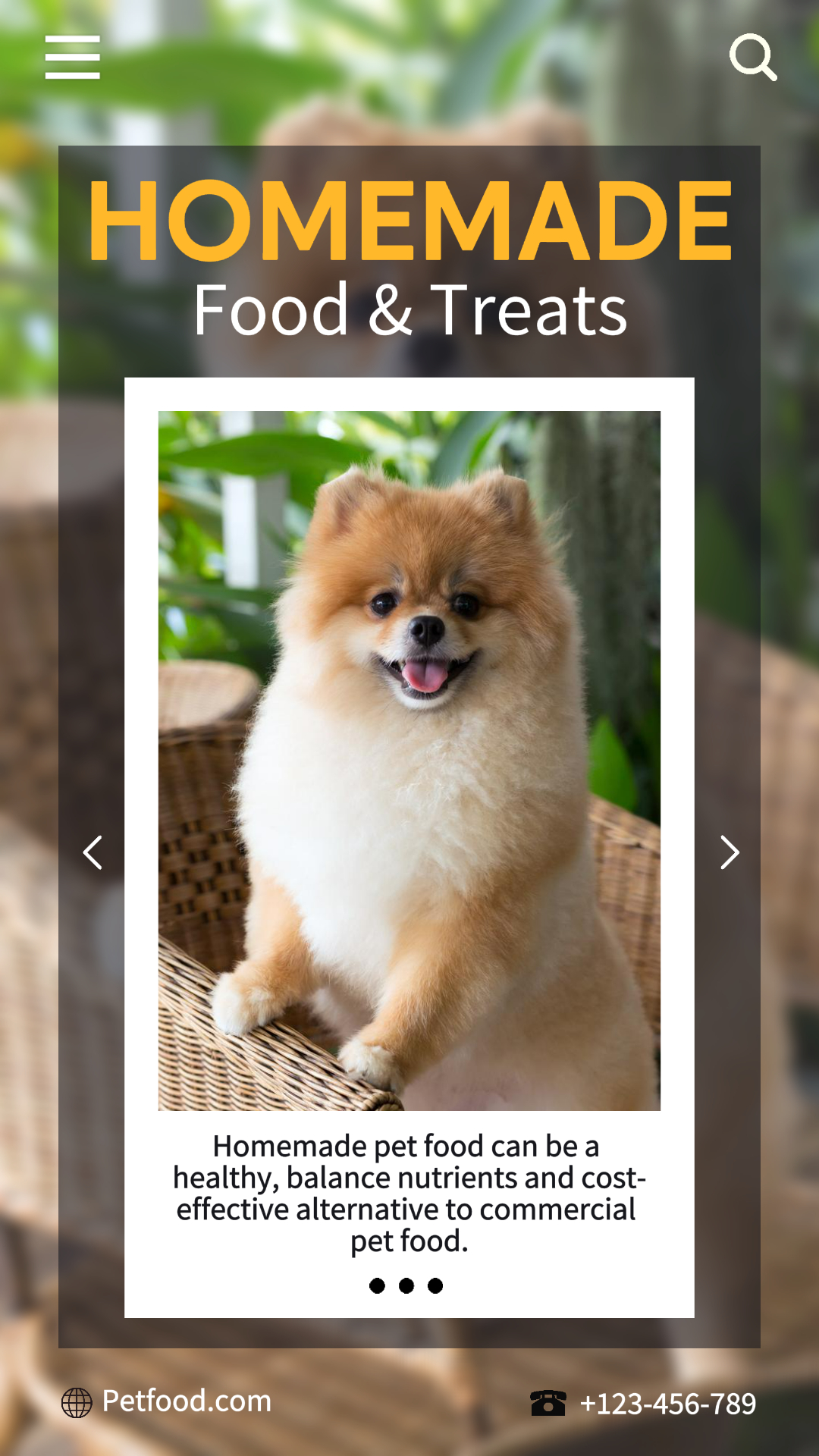 Servicios para Mascotas Exhibición de Promoción de Alimentos Y Golosinas