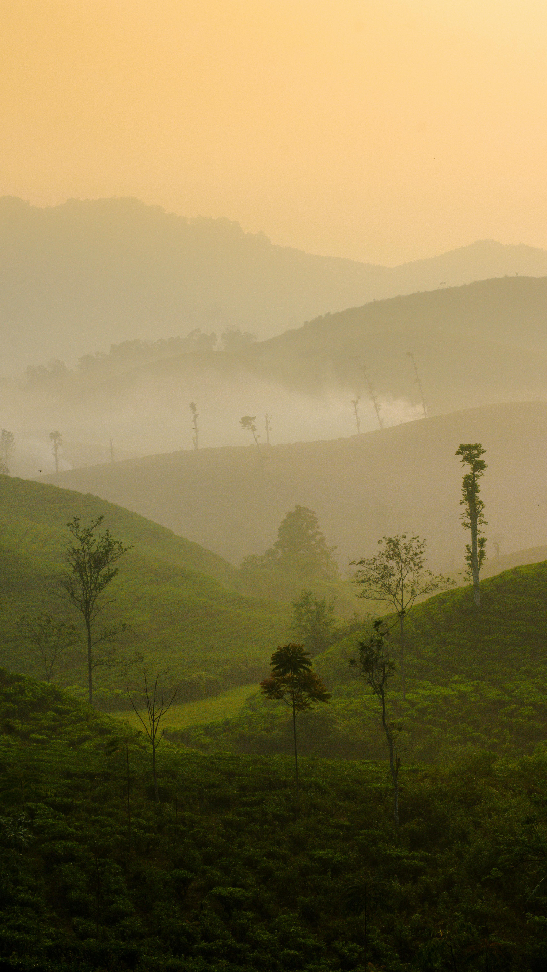 Lanskap poster kreatif wallpaper