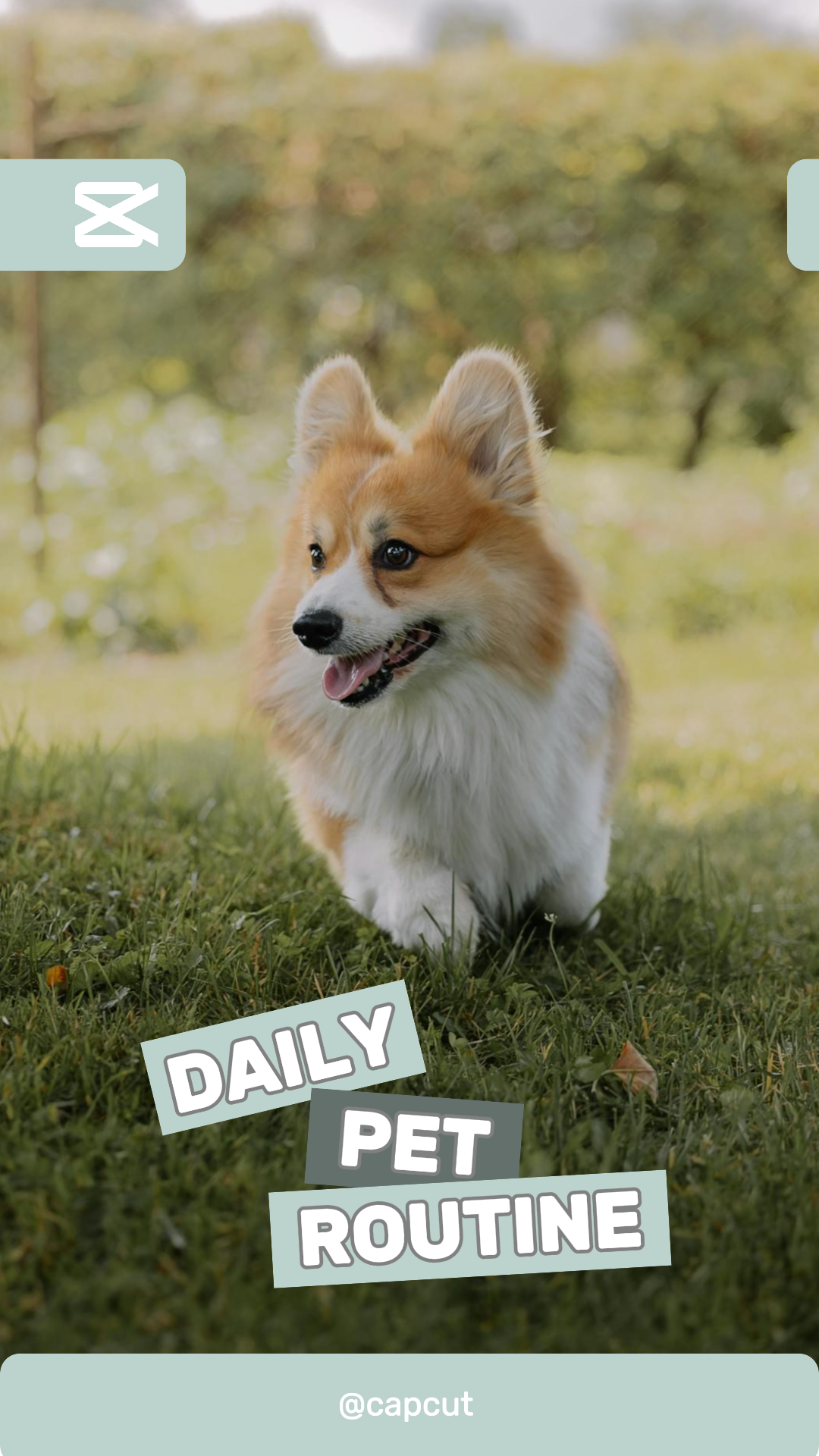 capcut template cover