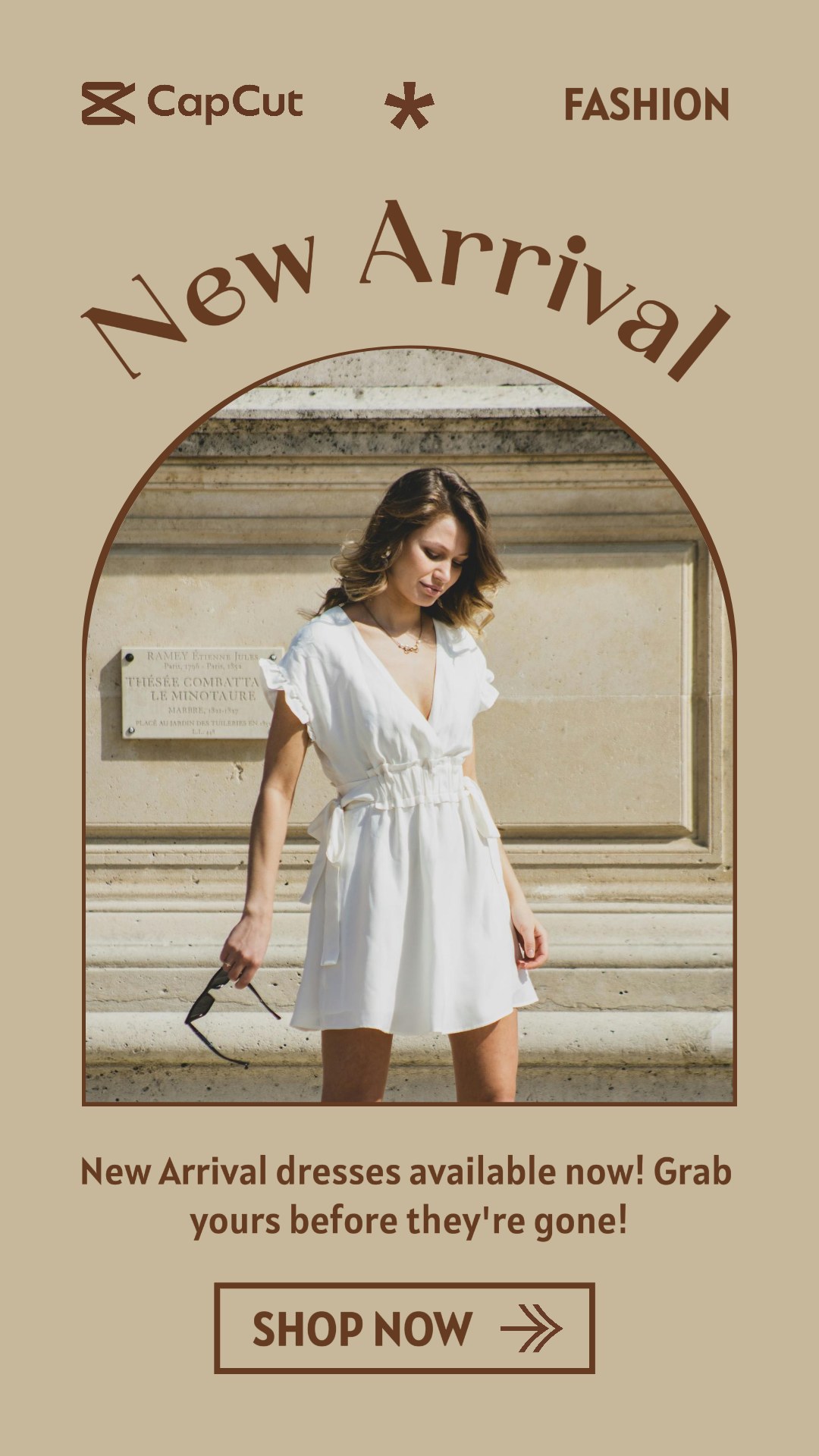 Bildvorlage Kleidung und Schuhe Marketing Poster Instagram Story Kleid