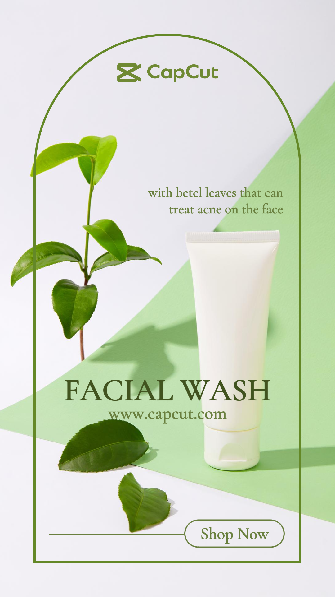 Pôster de marketing de cuidados de beleza Lavagem facial Instagram Story Green