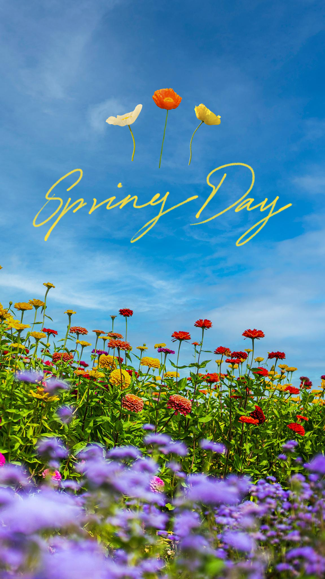 Hintergrundbild 9: 16 Frühlingstag