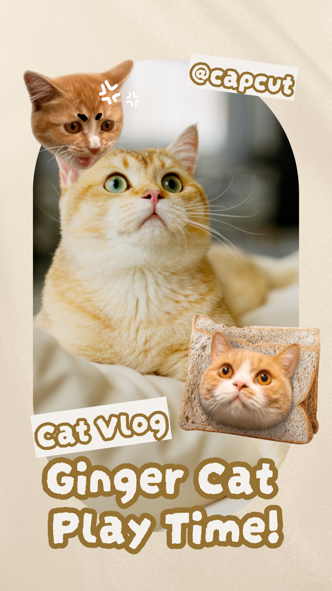 capcut template cover