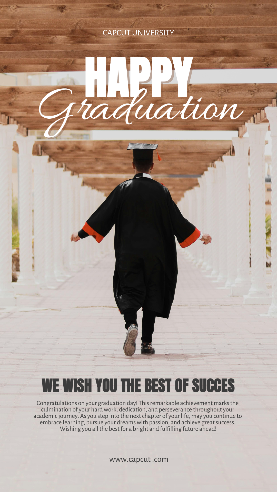 Graduation Creative Poster Instagram Story Delicate Style