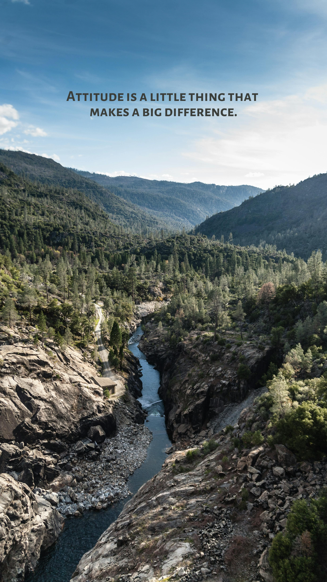 Papel de parede Pôster criativo Paisagem Floresta da Montanha