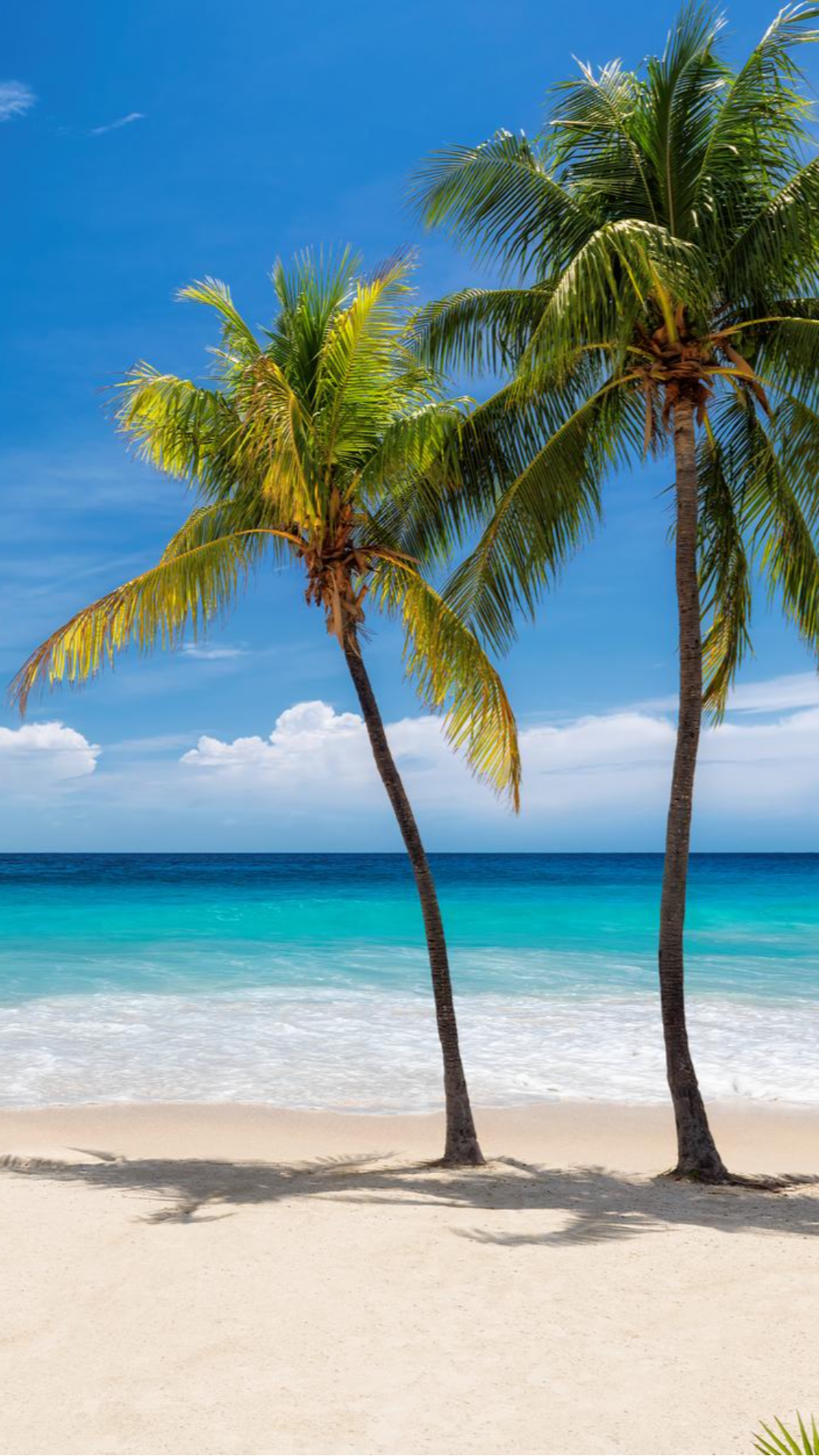 Papel de parede Criativo Poster Mar