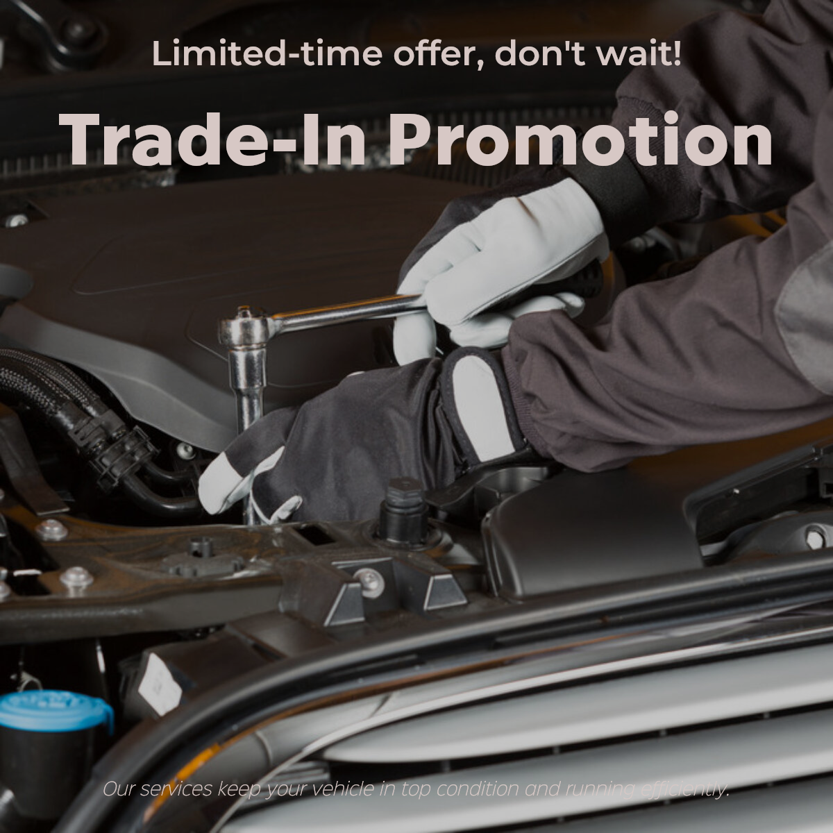 Promoción de ventas de coches y autopartes