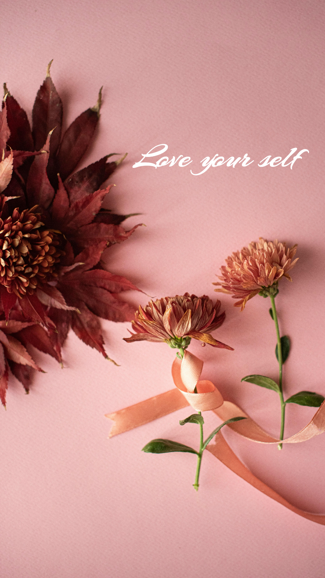 배경화면 크리에이티브 포스터 플라워 핑크