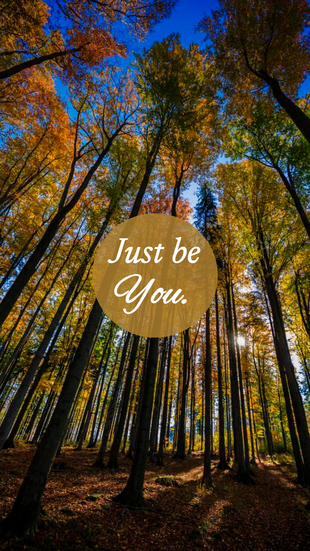 Wallpaper creative poster forest