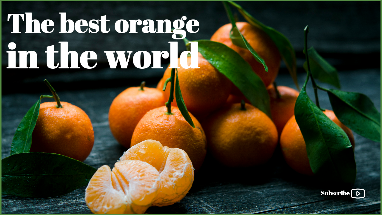 Youtube Thumbnail Review Beste Orange der Welt