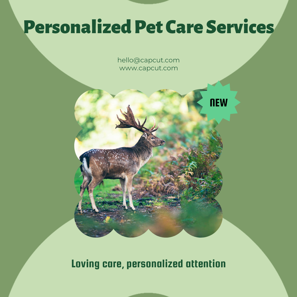 Effektanzeige in der Haustierindustrie