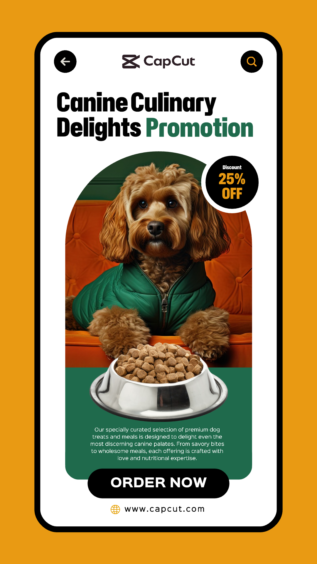 Canine Culinary Delights Promotoin UI Style Story