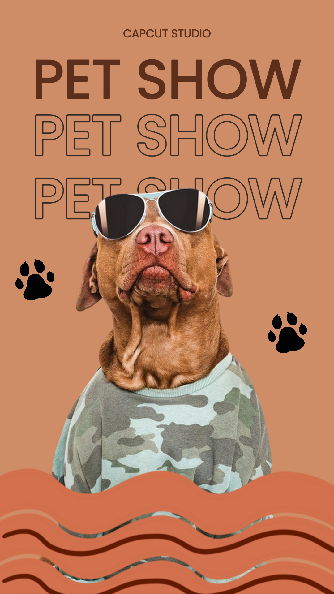 Exposition d'animaux miniatures Tiktok