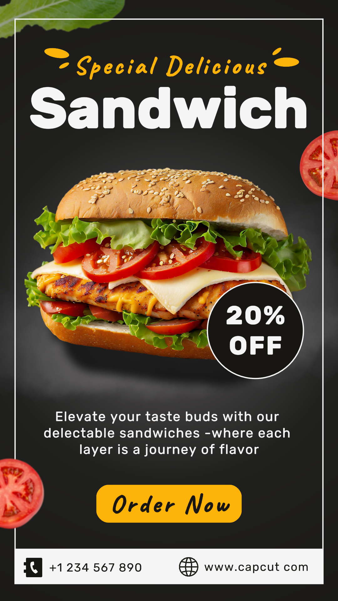 Promoção Especial de Sanduíche Delicioso História do Instagram