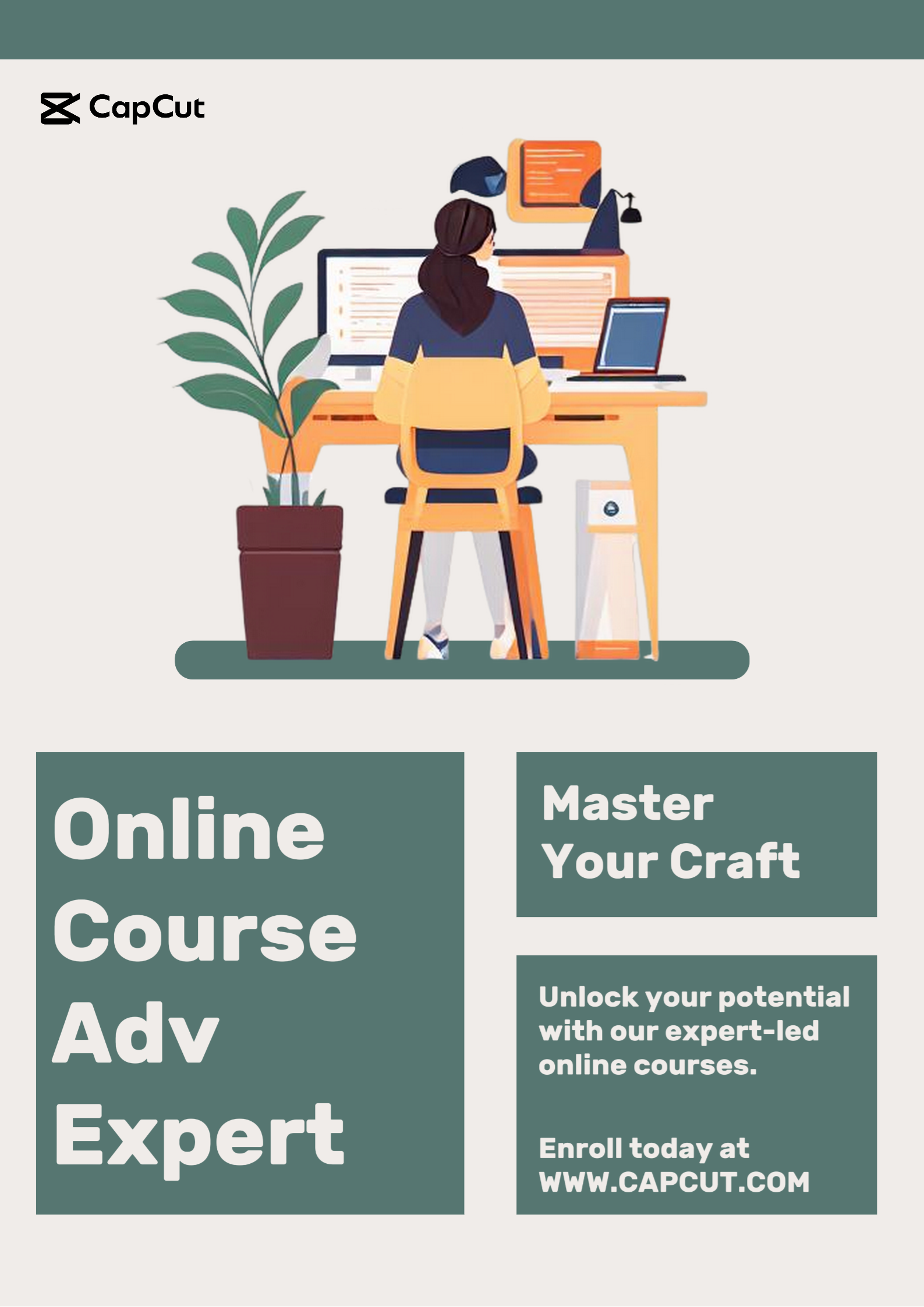 Cartel de marketing educativo, curso en línea Sage