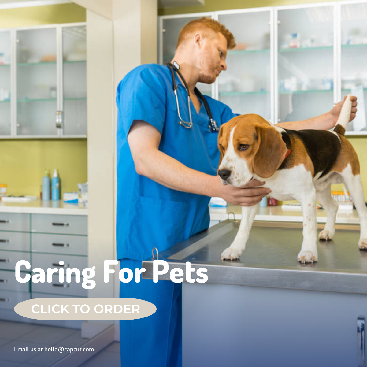 Haustierindustrie Produktanzeige