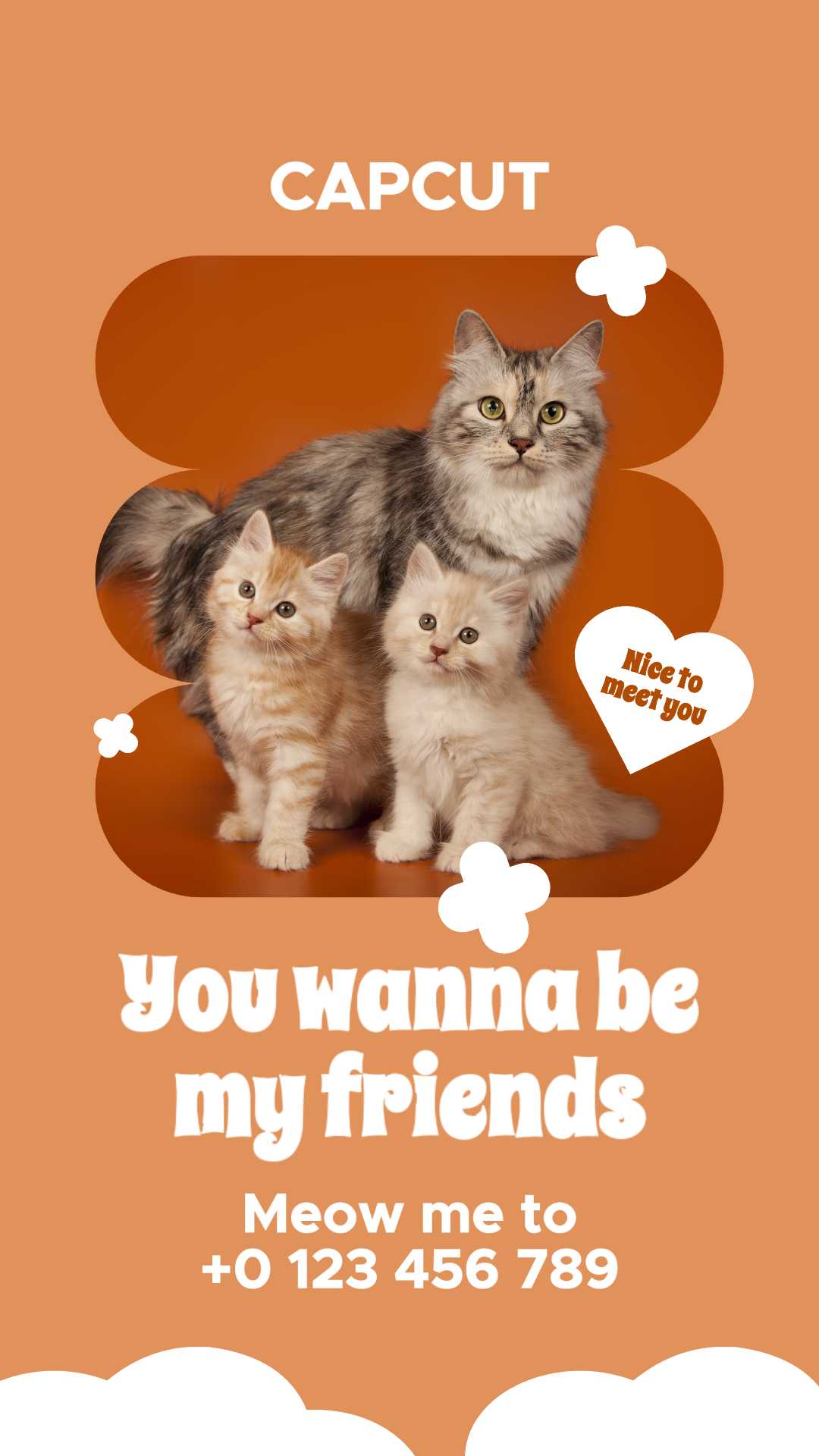 Orange Pet Open Adoptez l'histoire Instagram