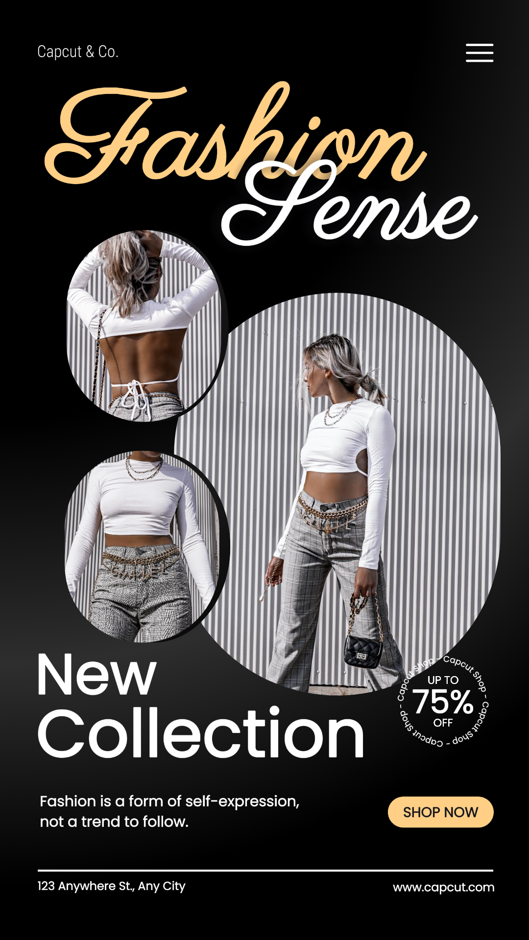 Promoción Especial de Productos de Moda