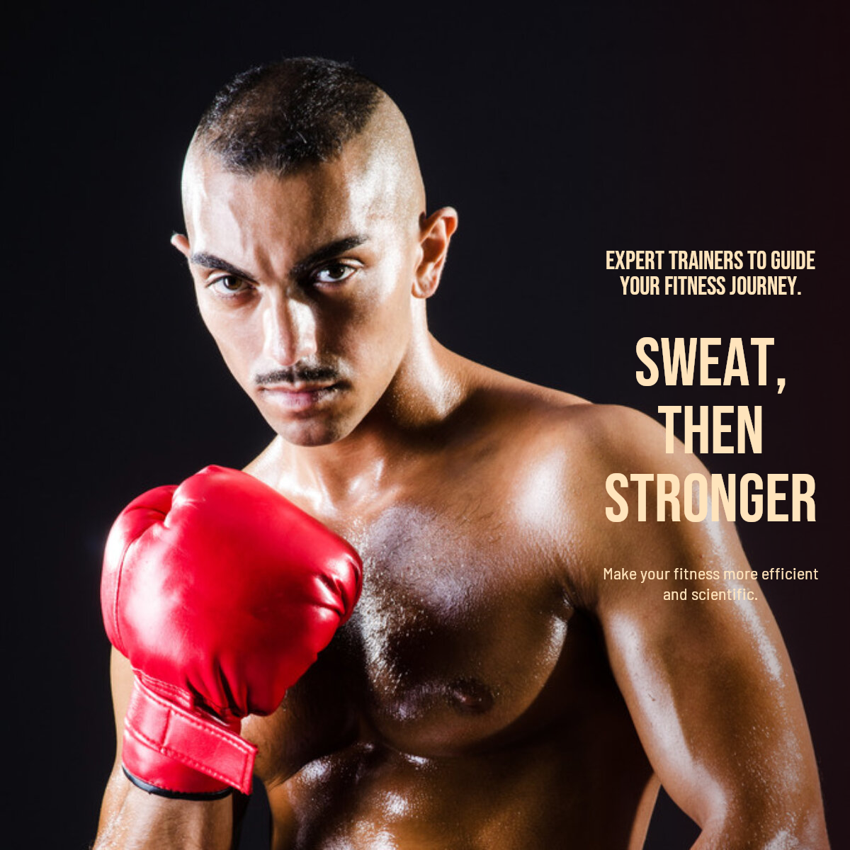 Affichage des produits d'entraînement et de fitness