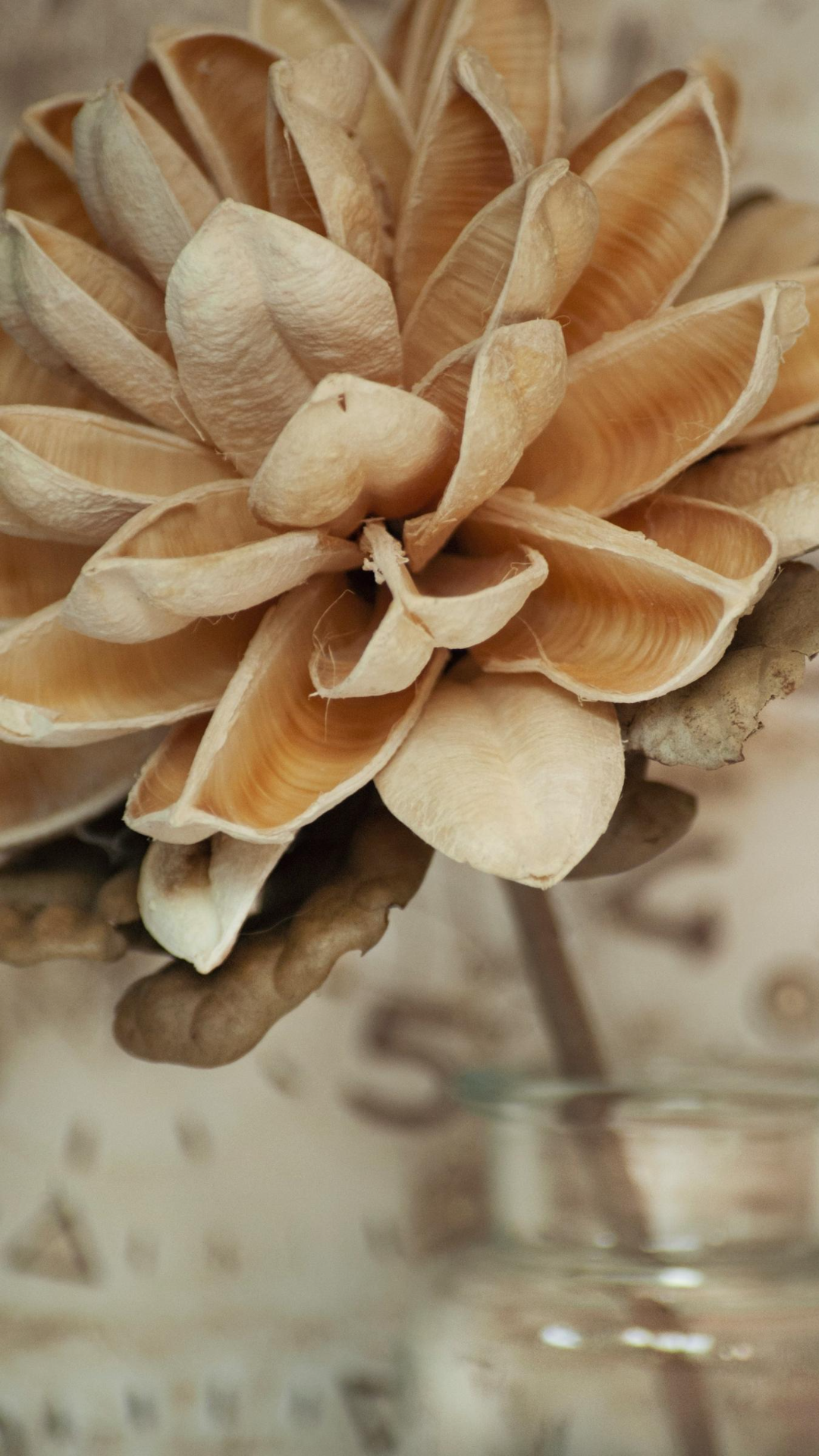 Papier peint général Affiche marketing Fleur Instagram Story Soft Brown & Orange