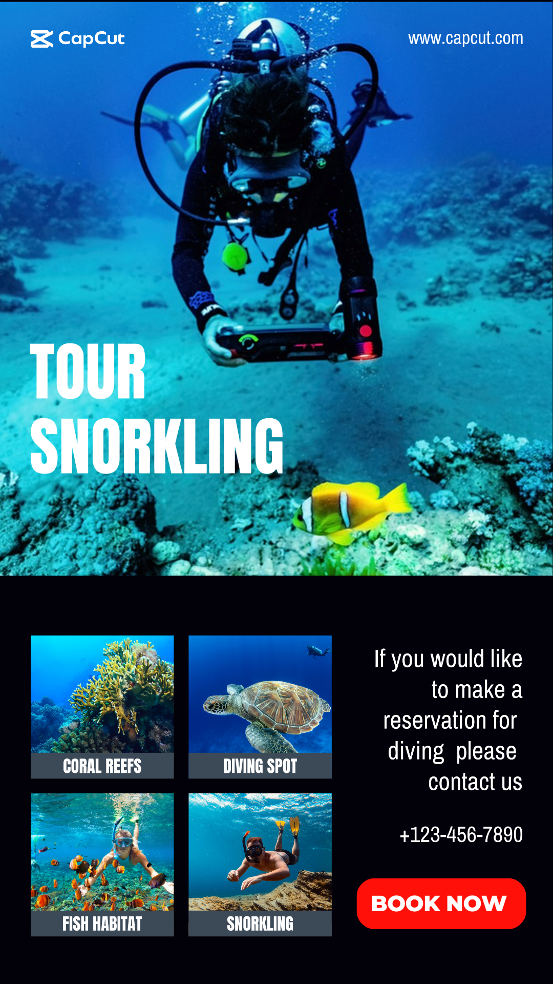 Tour Snorkling Travel Instagram Story Light Blue and Dark Minimalist