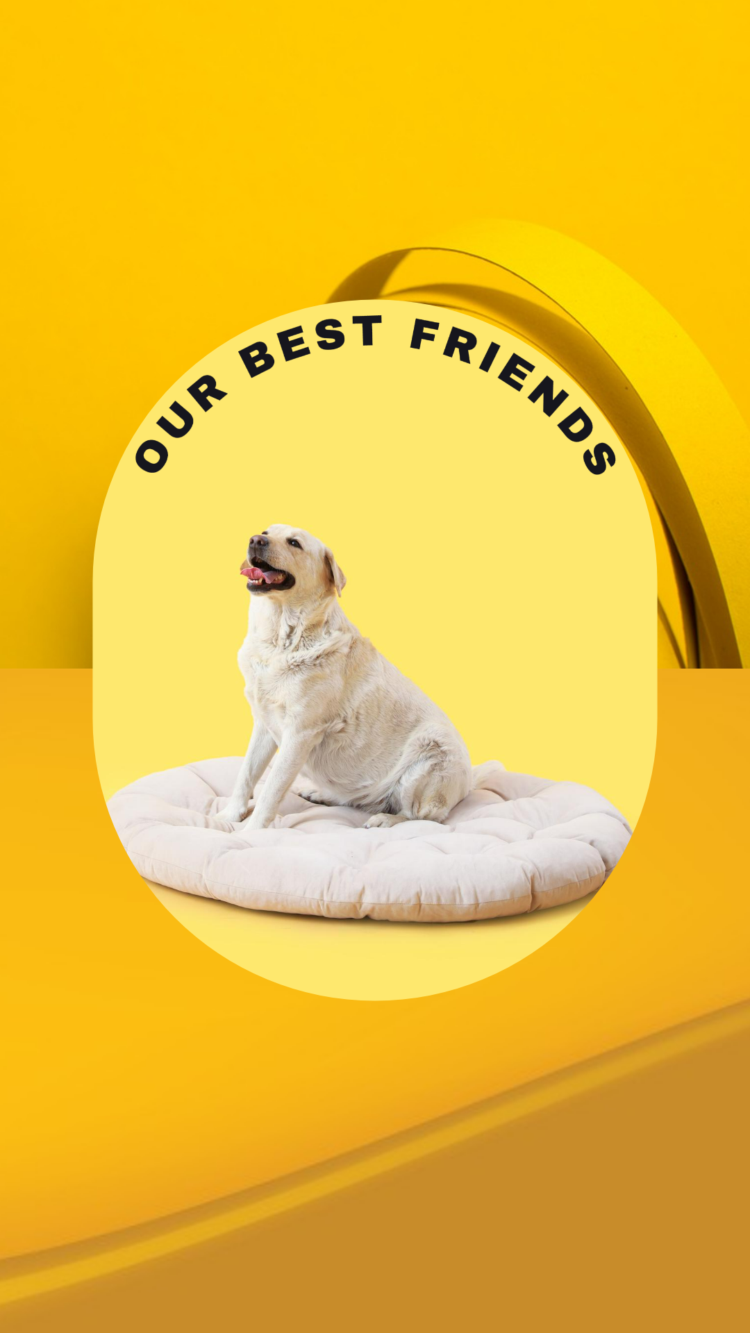 Wallpaper kreatif poster anjing peliharaan