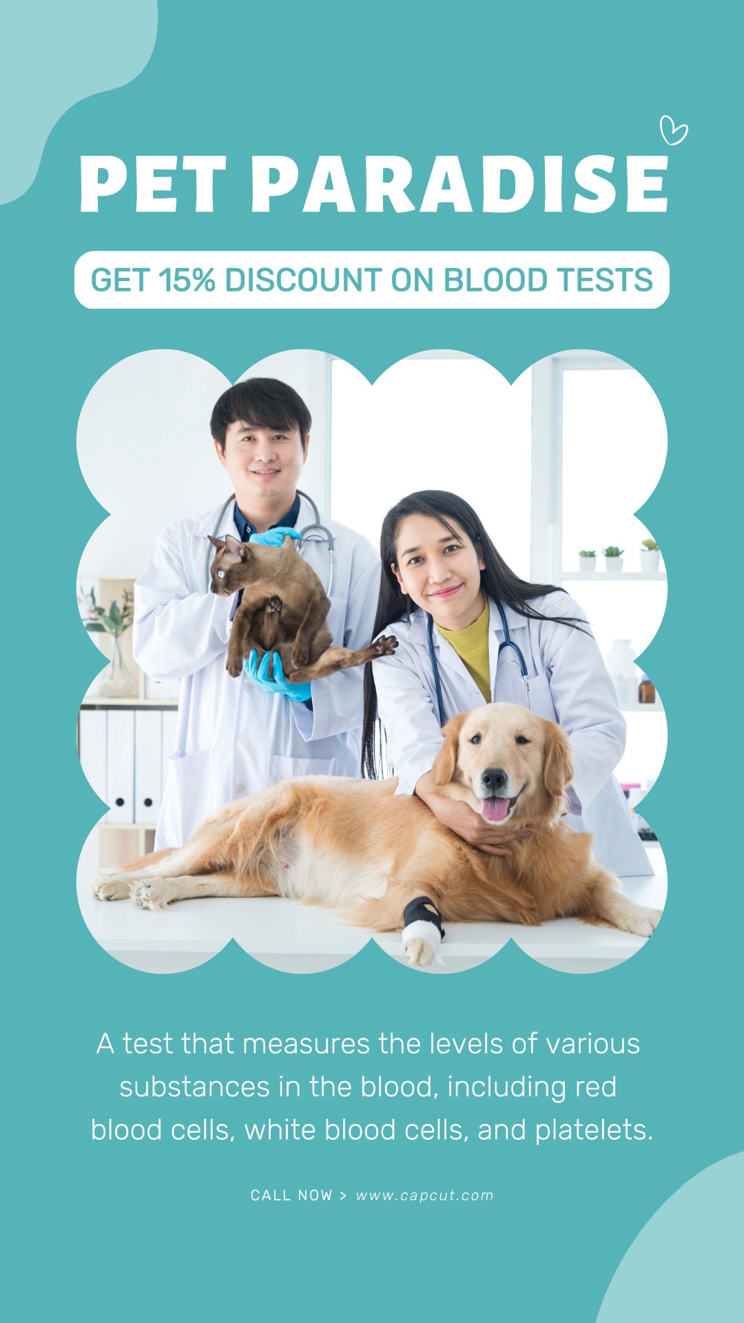 Blue Minimalist Pet Service Promoção Instagram Story