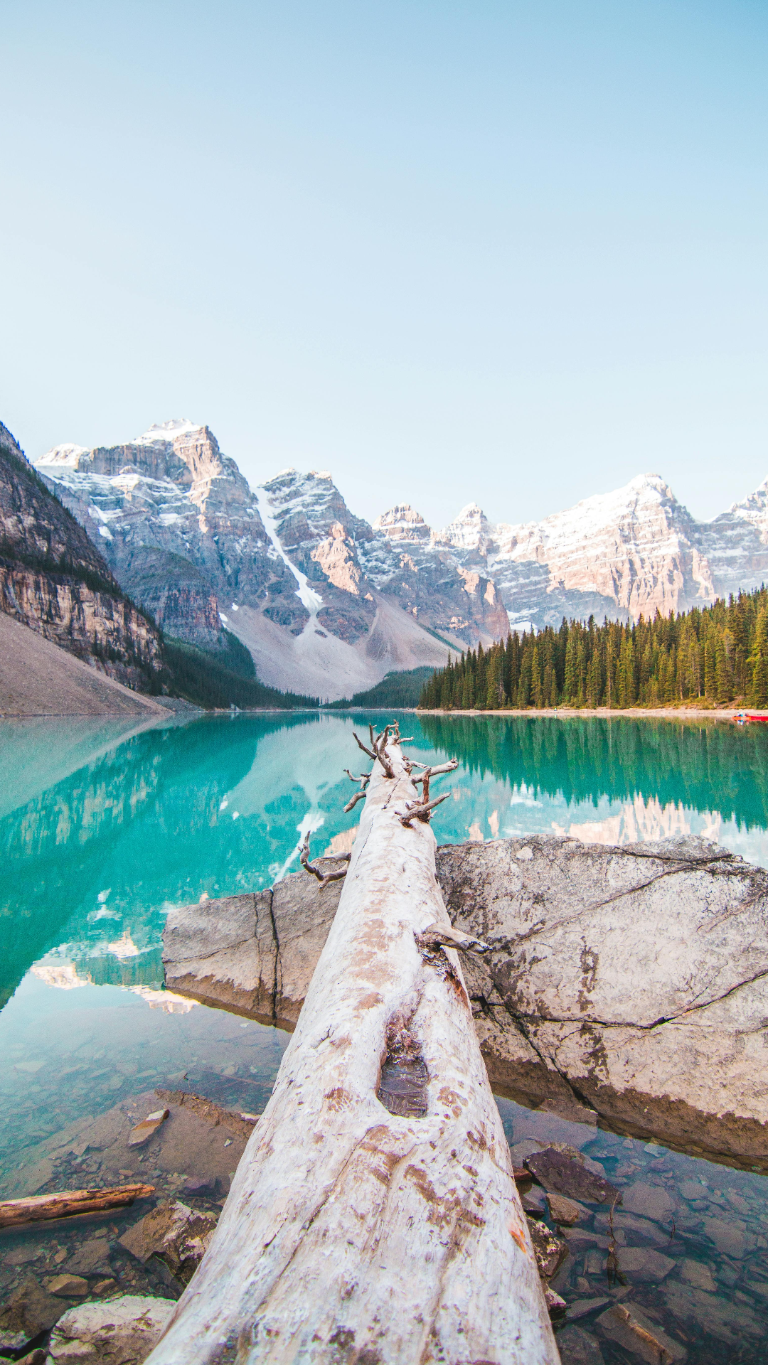 Wallpaper creative poster landscape