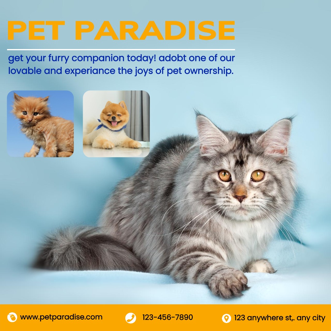 Pet shop pet display for instagram post trabalhos