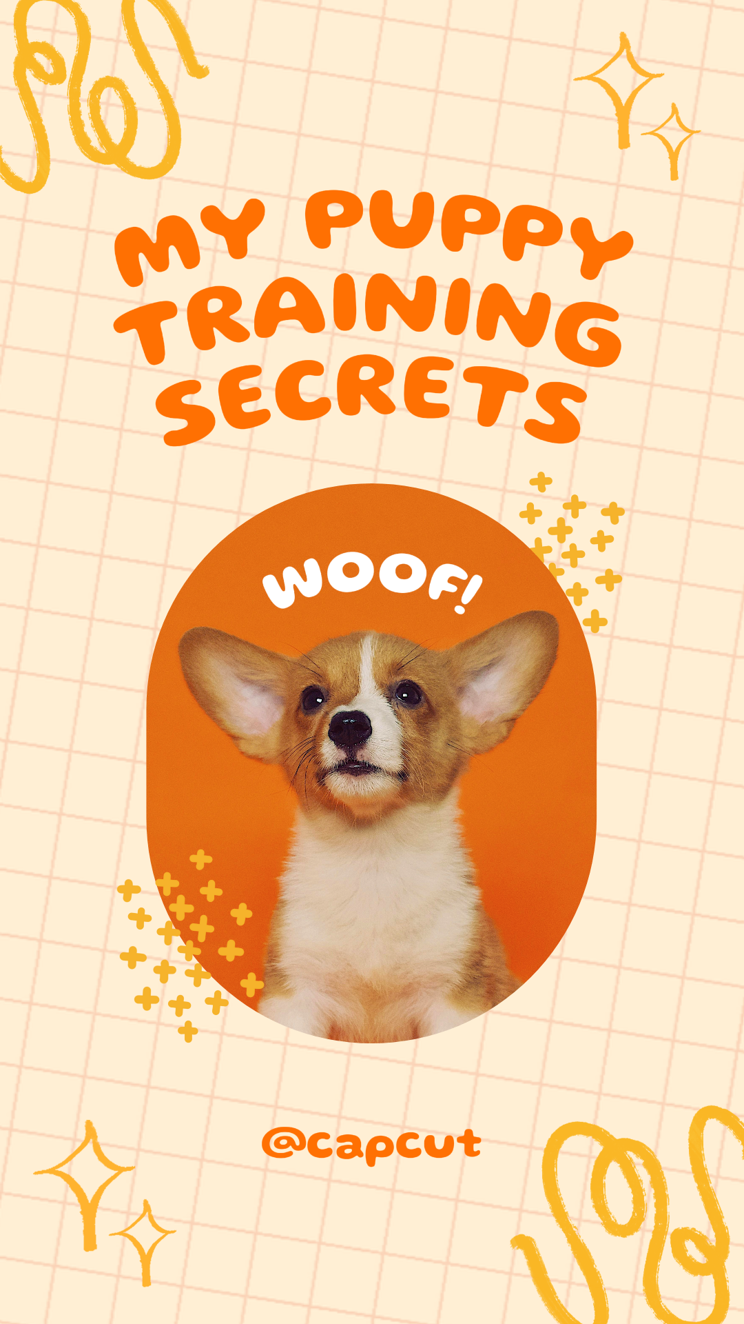 Miniatura do TikTok - Animais de estimação - Segredos de treinamento do meu cachorro