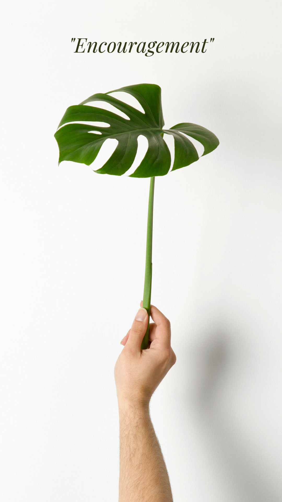 Fondo de pantalla Cartel creativo Flor