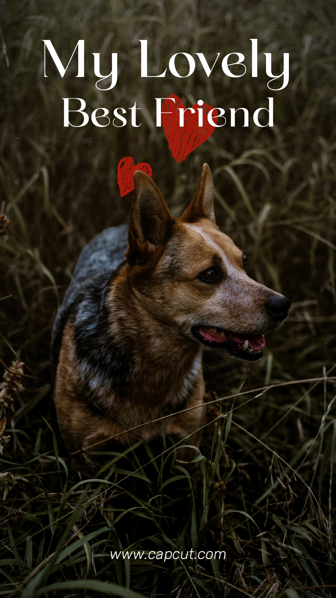 Tiktok Thumbnail Poster Kreatif Cerita Instagram Teman Terbaik Anjing