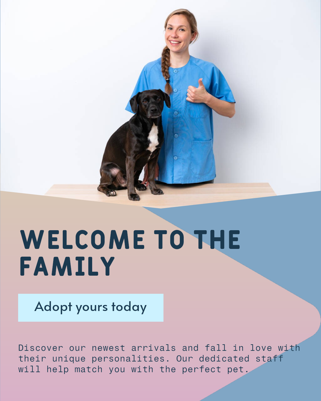 Pet industry New arrivals