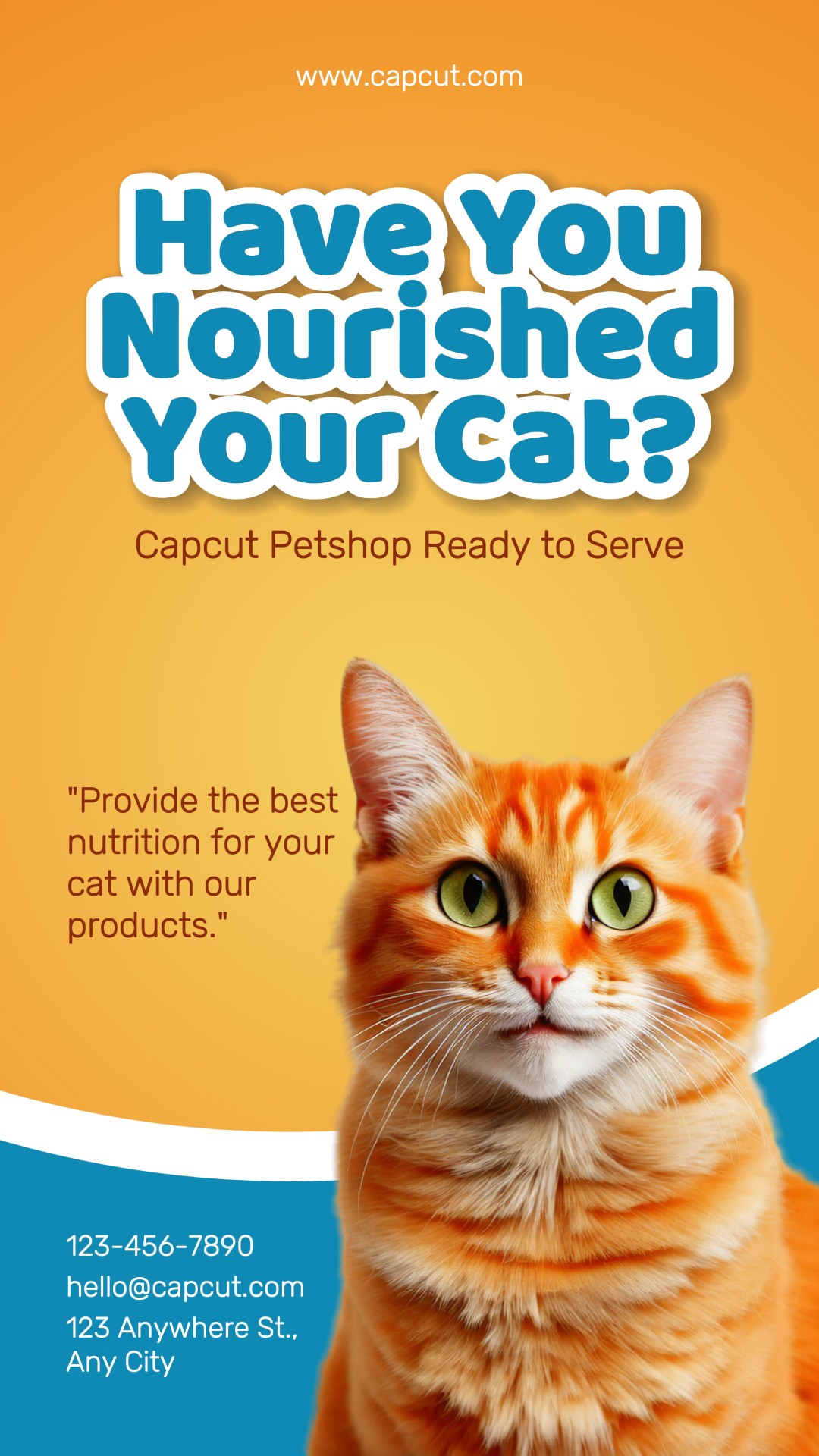 Petshop Promoção Exibir História do Instagram