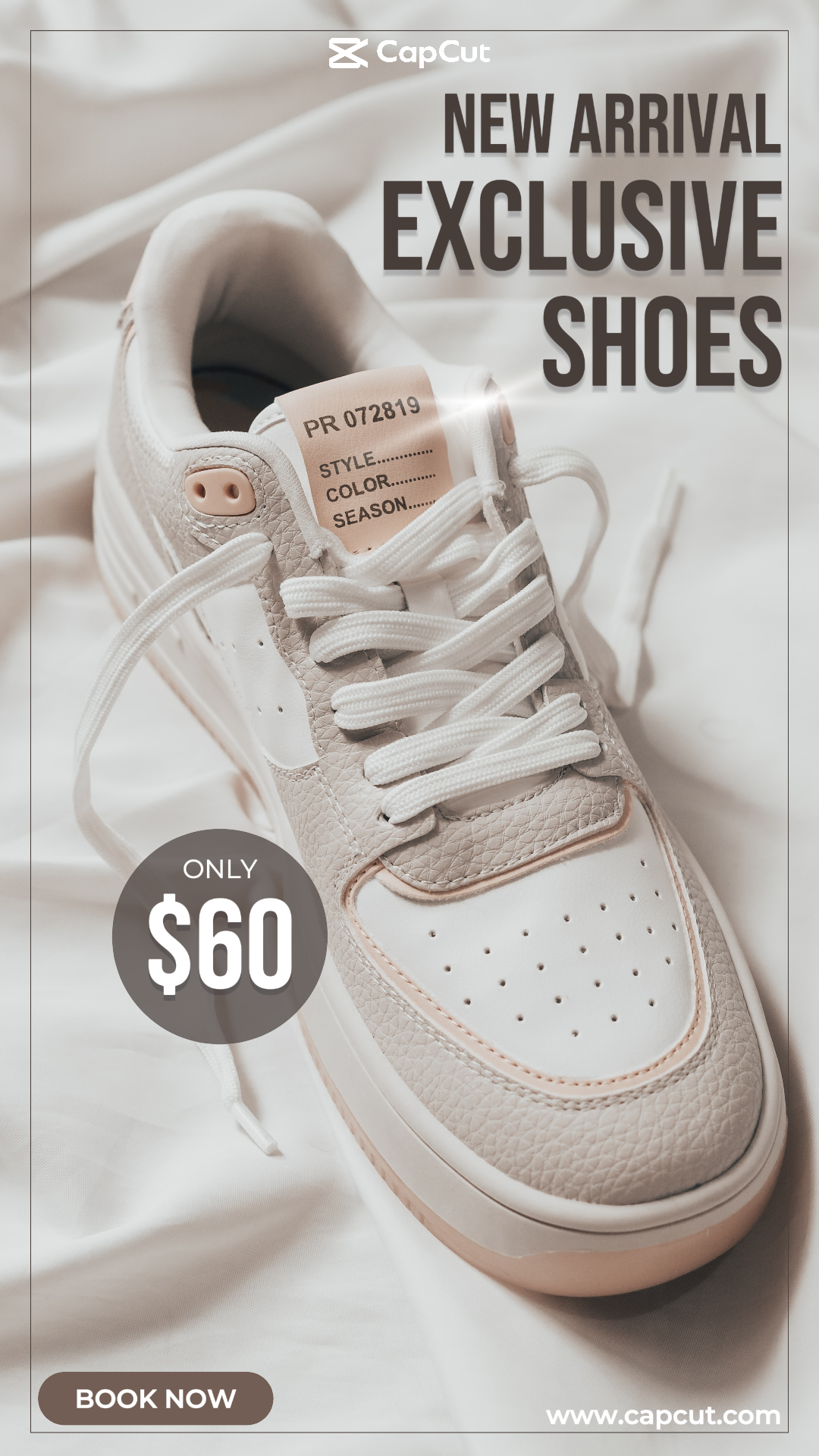 Modeindustrie-Instagram Story-Einfache braune Neuankömmlinge Exklusive Schuhe