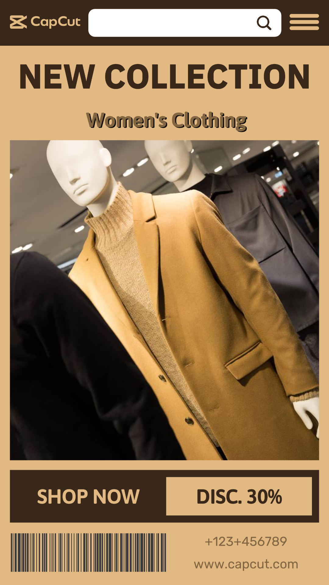 Promoção de roupas de moda História do Instagram